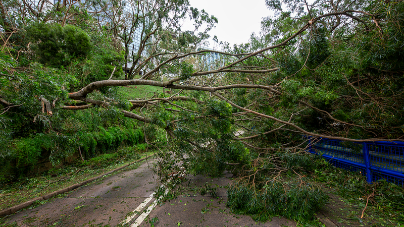 Typhoon_Ragasa_Threatens_South_China_with_Severe_Flooding__Landslides_poster - Khabar Asia Typhoon_Ragasa_Threatens_South_China_with_Severe_Flooding__Landslides video poster