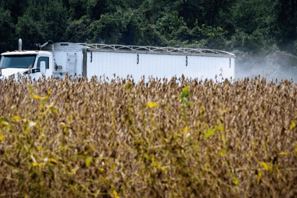 U.S. Soybean, Beef Exports Hit by China Tariff Tensions U_S__Soybean__Beef_Exports_Hit_by_China_Tariff_Tensions