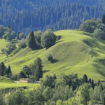 Unveiling_the_Ancient_Wusun_Kingdom_on_Xinjiang_s_Nalati_Grassland_poster - Khabar Asia Unveiling_the_Ancient_Wusun_Kingdom_on_Xinjiang_s_Nalati_Grassland video poster