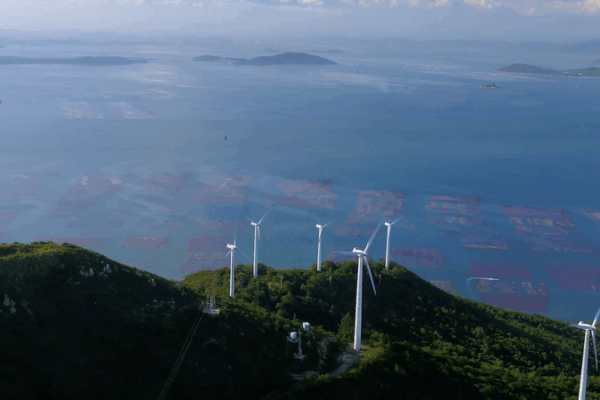 Guangdong’s Wind Power Surge: Clean Energy Meets Coastal Ecology Guangdong’s Wind Power Surge: Clean Energy Meets Coastal Ecology video poster