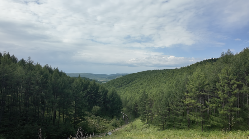 Inner Mongolia Leads China’s Carbon Market with Innovative Green Projects Inner Mongolia Leads China’s Carbon Market with Innovative Green Projects