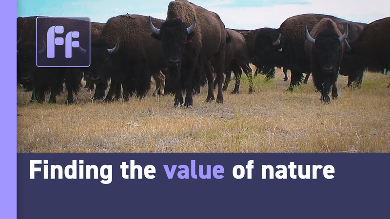 Whales__Unsung_Heroes_in_the_Fight_Against_Climate_Change__poster - Khabar Asia Whales__Unsung_Heroes_in_the_Fight_Against_Climate_Change_ video poster