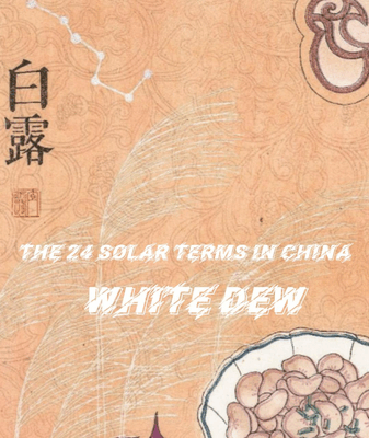 White Dew: Asia’s Autumn Transition in Focus White_Dew__Asia_s_Autumn_Transition_in_Focus video poster
