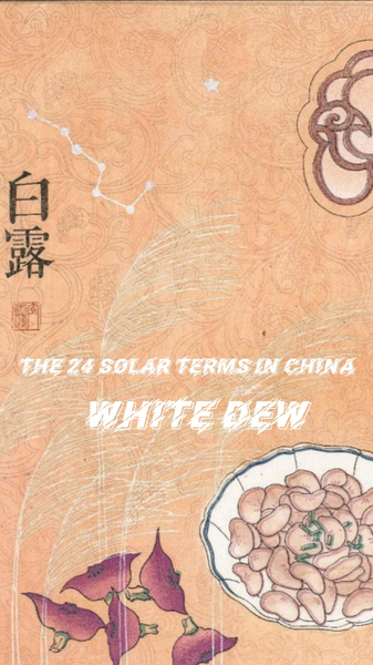 White_Dew__Asia_s_Autumn_Transition_in_Focus_poster - Khabar Asia White_Dew__Asia_s_Autumn_Transition_in_Focus video poster