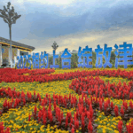 Xi_Jinping_Proposes_Global_Governance_Initiative_at_SCO_Plus_Summit