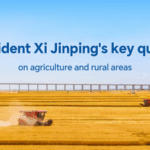 Xi_Jinping_Stresses_Food_Security_as_China_Celebrates_Harvest_Festival - Khabar Asia Xi_Jinping_Stresses_Food_Security_as_China_Celebrates_Harvest_Festival