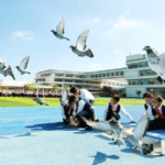 Xi_Urges_SCO_Members_to_Champion_Global_Peace_and_Stability