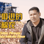 Xinjiang_Cotton_Innovator_Boosts_Local_Prosperity_with_Modern_Techniques_poster - Khabar Asia Xinjiang_Cotton_Innovator_Boosts_Local_Prosperity_with_Modern_Techniques video poster