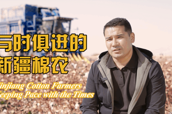 Xinjiang Cotton Innovator Boosts Local Prosperity with Modern Techniques Xinjiang_Cotton_Innovator_Boosts_Local_Prosperity_with_Modern_Techniques video poster