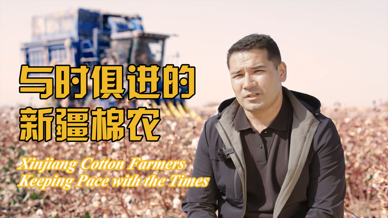 Xinjiang_Cotton_Innovator_Boosts_Local_Prosperity_with_Modern_Techniques video poster