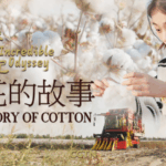 Xinjiang_Cotton__Unraveling_the_Threads_of_Resilience_and_Prosperity video poster