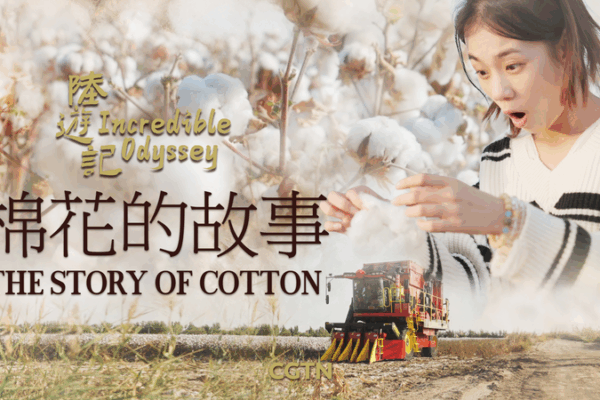 Xinjiang Cotton: Unraveling the Threads of Resilience and Prosperity Xinjiang_Cotton__Unraveling_the_Threads_of_Resilience_and_Prosperity video poster