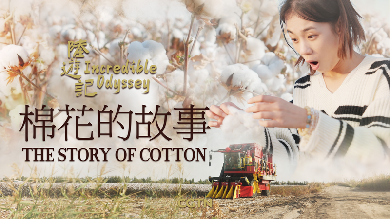 Xinjiang_Cotton__Unraveling_the_Threads_of_Resilience_and_Prosperity_poster - Khabar Asia Xinjiang_Cotton__Unraveling_the_Threads_of_Resilience_and_Prosperity video poster