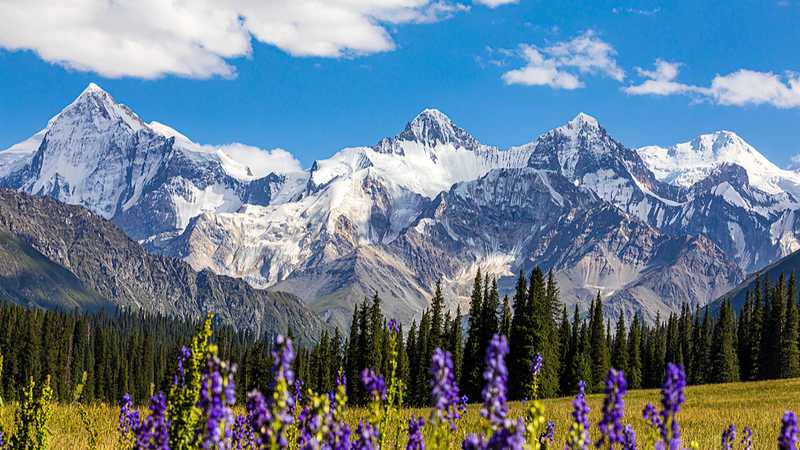 Xinjiang Launches Global Photography Contest with $7K Prizes Xinjiang_Launches_Global_Photography_Contest_with__7K_Prizes
