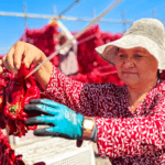 Xinjiang_Sees_Historic_Development_Growth__White_Paper_Reports