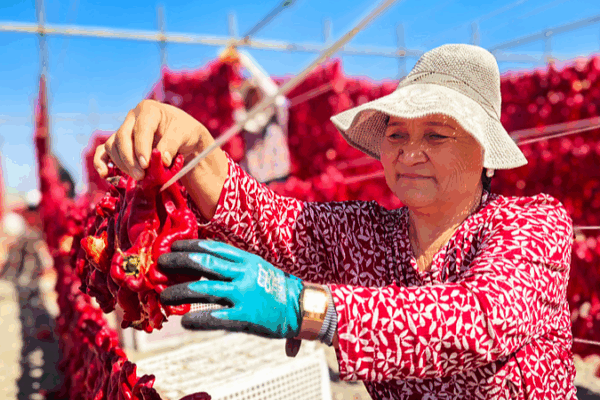 Xinjiang_Sees_Historic_Development_Growth__White_Paper_Reports