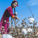 Xinjiang_at_70__Debunking_Myths_Behind_Cotton_Industry_Growth
