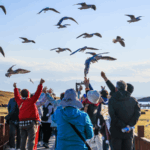 Xinjiang_s_Bayanbulak_Grassland_Captivates_Autumn_Travelers - Khabar Asia Xinjiang_s_Bayanbulak_Grassland_Captivates_Autumn_Travelers