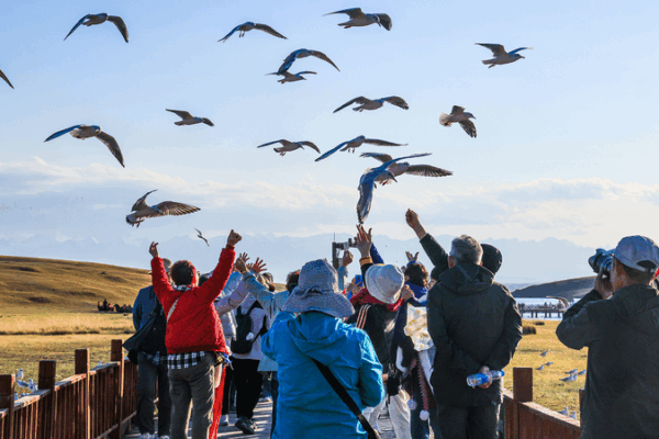 Xinjiang’s Bayanbulak Grassland Captivates Autumn Travelers Xinjiang_s_Bayanbulak_Grassland_Captivates_Autumn_Travelers
