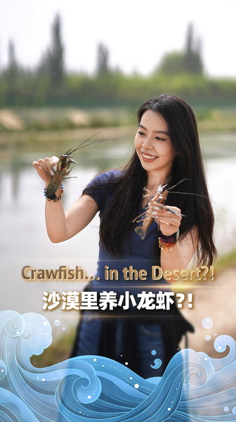 Xinjiang_s_Desert_Crawfish__A_Mid_Autumn_Surprise_poster - Khabar Asia Xinjiang_s_Desert_Crawfish__A_Mid_Autumn_Surprise video poster