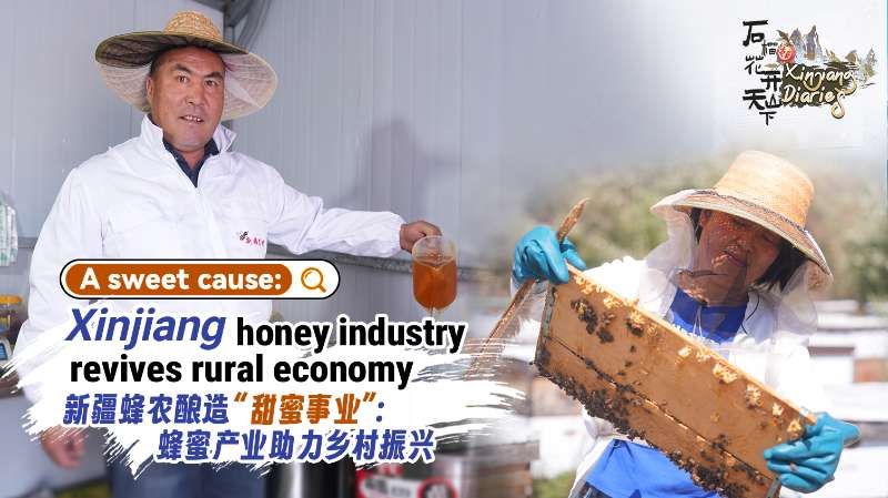 Xinjiang_s_Honey_Boom_Sweetens_Rural_Revival_in_Northwest_China_poster - Khabar Asia Xinjiang_s_Honey_Boom_Sweetens_Rural_Revival_in_Northwest_China video poster
