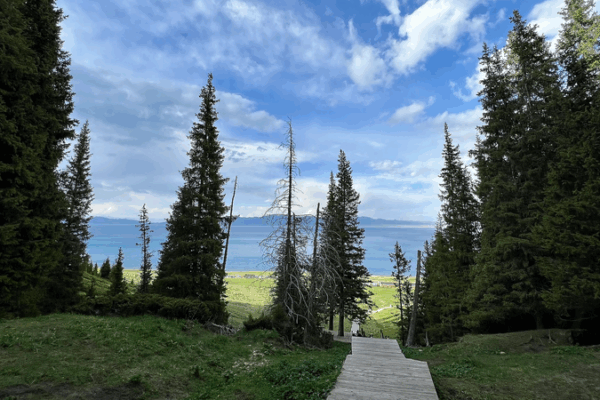 Xinjiang’s Songshutou: A Misty Marvel Over Sayram Lake Xinjiang_s_Songshutou__A_Misty_Marvel_Over_Sayram_Lake video poster