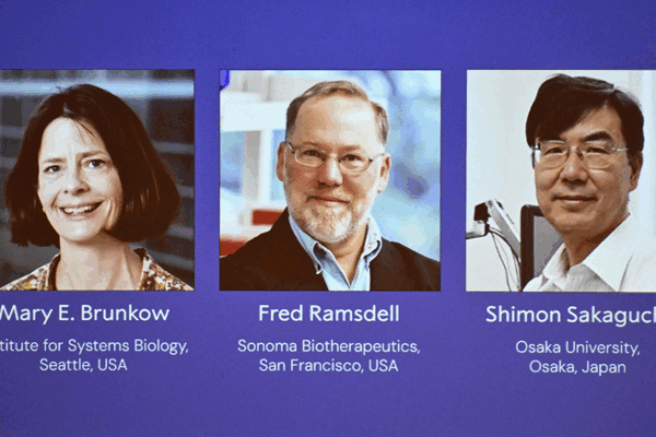 2025 Nobel Medicine Prize Honors Immune Tolerance Breakthroughs 2025_Nobel_Medicine_Prize_Honors_Immune_Tolerance_Breakthroughs