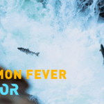 AI vs. Invaders: Norway’s High-Tech Fight to Save Wild Salmon video poster