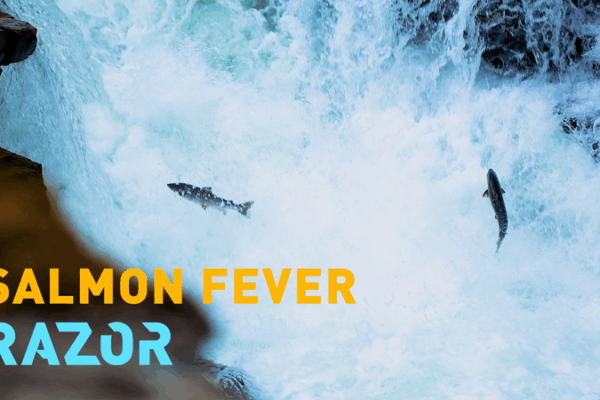 AI vs. Invaders: Norway’s High-Tech Fight to Save Wild Salmon AI vs. Invaders: Norway’s High-Tech Fight to Save Wild Salmon video poster