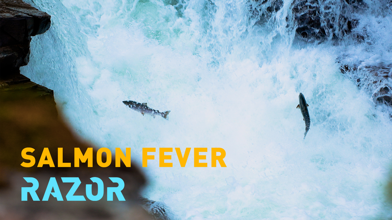 AI vs. Invaders: Norway’s High-Tech Fight to Save Wild Salmon video poster