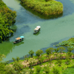 Explore Xixi: Hangzhou’s Serene Wetland Sanctuary Blends Nature and Culture video poster