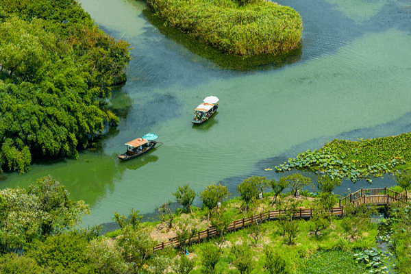 Explore Xixi: Hangzhou’s Serene Wetland Sanctuary Blends Nature and Culture Explore Xixi: Hangzhou’s Serene Wetland Sanctuary Blends Nature and Culture video poster
