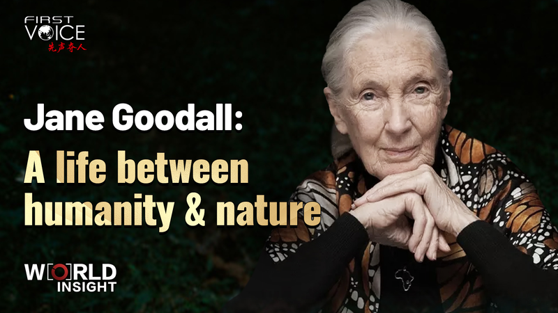 Jane Goodall’s Legacy: Bridging Humanity and Nature Through Science Jane Goodall’s Legacy: Bridging Humanity and Nature Through Science video poster