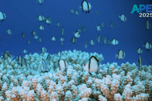 APEC_Members_Unite_for_Asia_Pacific_Ecological_Sustainability - Khabar Asia APEC_Members_Unite_for_Asia_Pacific_Ecological_Sustainability