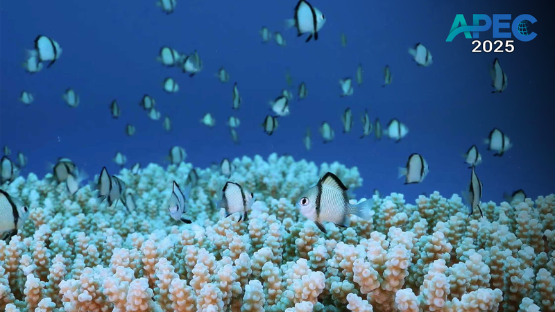 APEC_Members_Unite_for_Asia_Pacific_Ecological_Sustainability