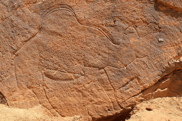 Ancient Camel Rock Art Reveals Arabia’s Prehistoric Waterways Ancient_Camel_Rock_Art_Reveals_Arabia_s_Prehistoric_Waterways