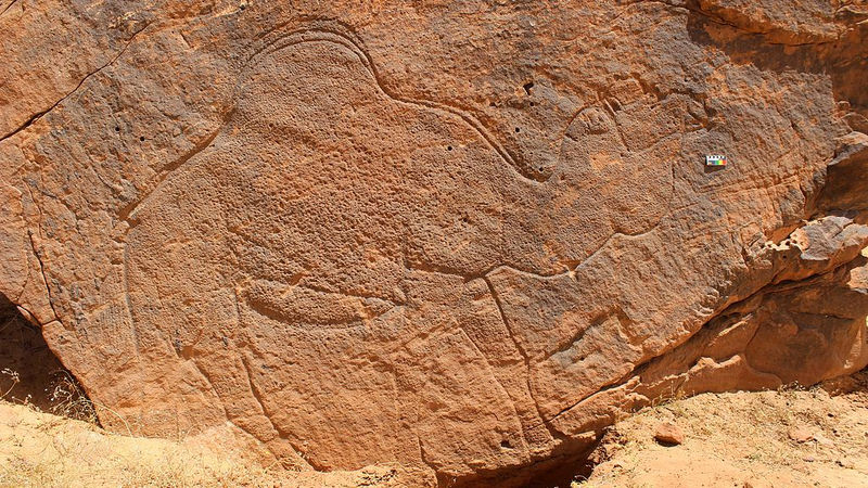 Ancient_Camel_Rock_Art_Reveals_Arabia_s_Prehistoric_Waterways - Khabar Asia Ancient_Camel_Rock_Art_Reveals_Arabia_s_Prehistoric_Waterways