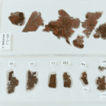 Ancient_Silk_Texts_Return_to_Hunan_Museum_After_79_Years_poster - Khabar Asia Ancient_Silk_Texts_Return_to_Hunan_Museum_After_79_Years video poster