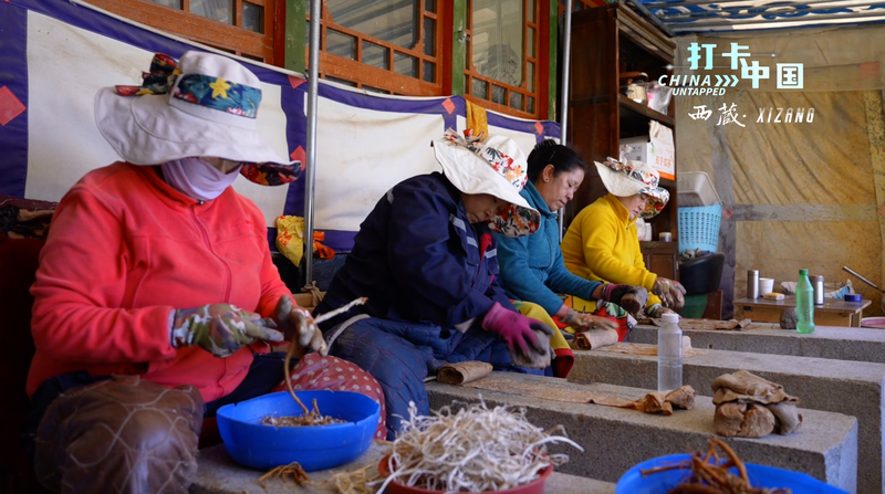 Ancient Tibetan ‘Wolf Poison’ Paper Preserves Centuries of History Ancient_Tibetan__Wolf_Poison__Paper_Preserves_Centuries_of_History video poster