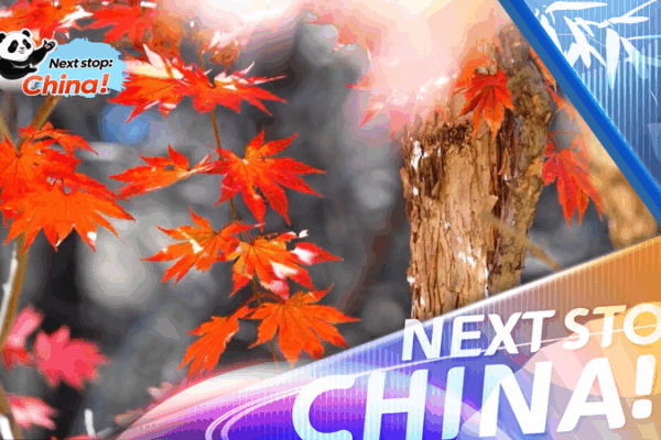 Autumn_s_Golden_Splendor_Boosts_China_s_Off_Peak_Tourism video poster