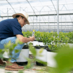 Peruvian Engineer Cultivates Blueberry Success in China’s Yunnan