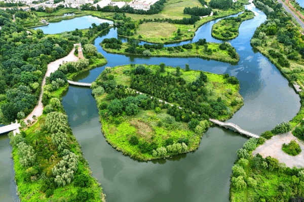 China’s 14th Five-Year Plan: Stability Fuels Economic Transformation