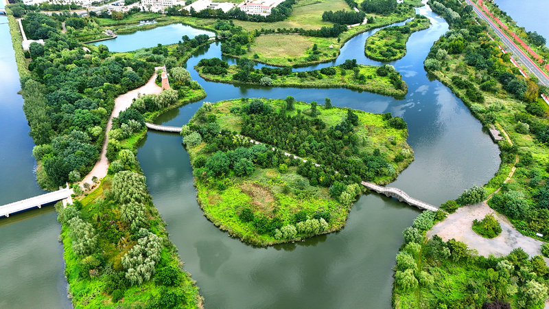 China’s 14th Five-Year Plan: Stability Fuels Economic Transformation