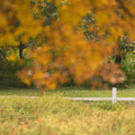 Beijing_s_Autumn_Splendor__A_Season_of_Color_and_Culture_poster - Khabar Asia Beijing_s_Autumn_Splendor__A_Season_of_Color_and_Culture video poster