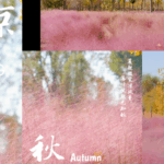 Beijing_s_Autumn_Transformed_by_Pink_Muhly_Grass_Bloom_poster - Khabar Asia Beijing_s_Autumn_Transformed_by_Pink_Muhly_Grass_Bloom video poster