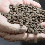 Brazil_Farmers_Adapt_to_US_Tariffs_with_New_Markets__Domestic_Growth video poster