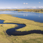 China_Expands_Protected_Wetlands_to_Boost_Biodiversity__Sustainable_Growth