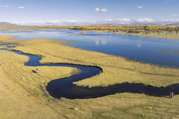 China Expands Protected Wetlands to Boost Biodiversity, Sustainable Growth China_Expands_Protected_Wetlands_to_Boost_Biodiversity__Sustainable_Growth