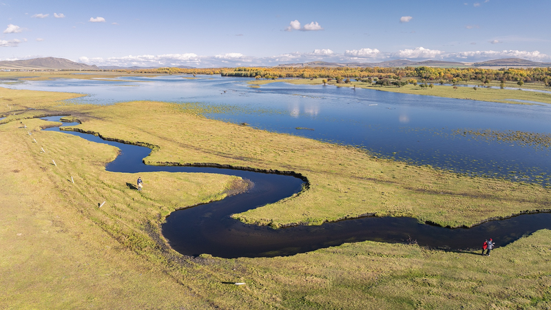China_Expands_Protected_Wetlands_to_Boost_Biodiversity__Sustainable_Growth
