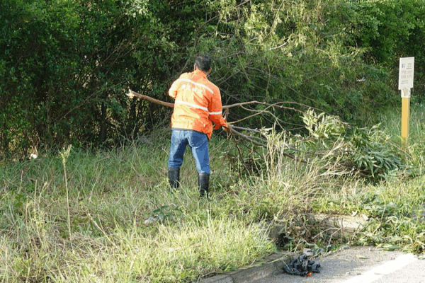China Intensifies Typhoon Relief Efforts in Guangxi, Yunnan China_Intensifies_Typhoon_Relief_Efforts_in_Guangxi__Yunnan